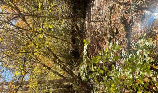 Photo #23 of 4720 Wightman Road, Chase City, Virginia 70.0 acres