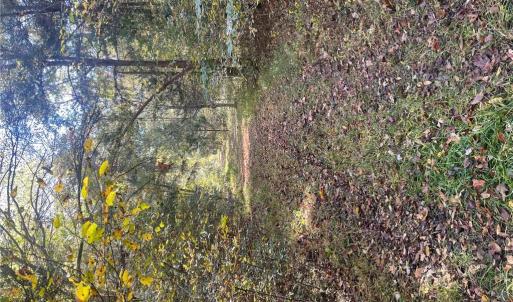 Photo #25 of 4720 Wightman Road, Chase City, Virginia 70.0 acres