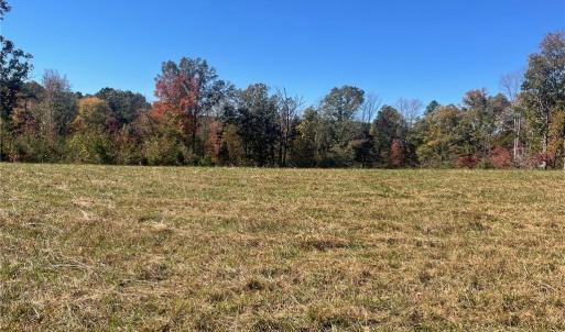 Photo #26 of 4720 Wightman Road, Chase City, Virginia 70.0 acres
