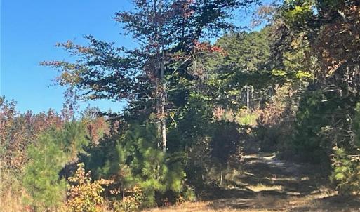 Photo #28 of 4720 Wightman Road, Chase City, Virginia 70.0 acres