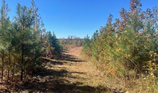 Photo #29 of 4720 Wightman Road, Chase City, Virginia 70.0 acres