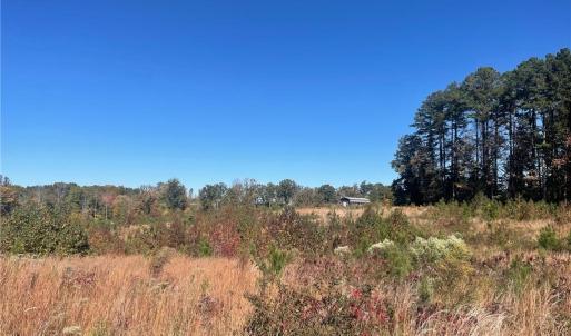 Photo #30 of 4720 Wightman Road, Chase City, Virginia 70.0 acres