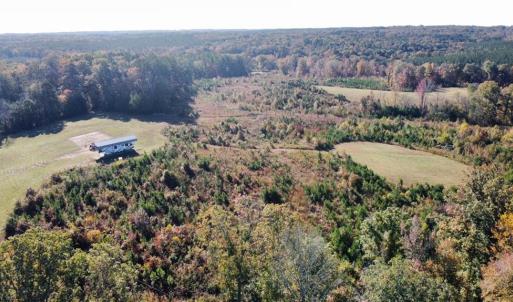 Photo #4 of 4720 Wightman Road, Chase City, Virginia 70.0 acres