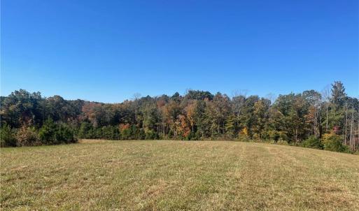Photo #33 of 4720 Wightman Road, Chase City, Virginia 70.0 acres