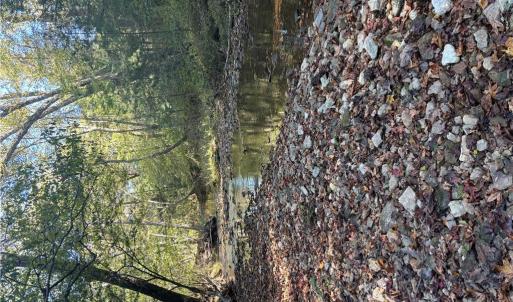 Photo #35 of 4720 Wightman Road, Chase City, Virginia 70.0 acres