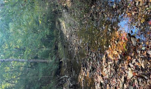 Photo #36 of 4720 Wightman Road, Chase City, Virginia 70.0 acres