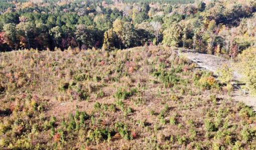 Photo #5 of 4720 Wightman Road, Chase City, Virginia 70.0 acres