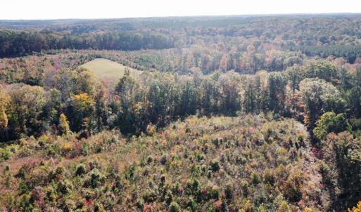 Photo #6 of 4720 Wightman Road, Chase City, Virginia 70.0 acres