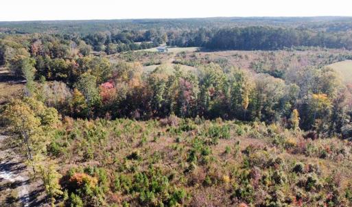 Photo #7 of 4720 Wightman Road, Chase City, Virginia 70.0 acres