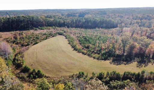 Photo #8 of 4720 Wightman Road, Chase City, Virginia 70.0 acres