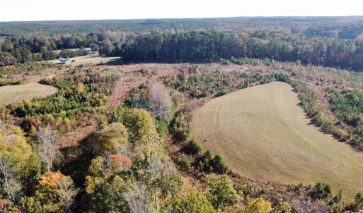 Photo #9 of 4720 Wightman Road, Chase City, Virginia 70.0 acres