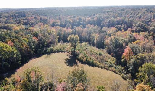 Photo #10 of 4720 Wightman Road, Chase City, Virginia 70.0 acres