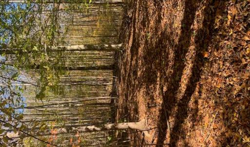 Photo #3 of 17+ac T.C. Walker Rd (Off of). Rt. 629 Lane, Gloucester, Virginia 17.3 acres