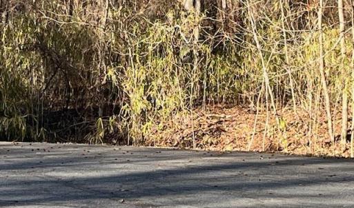 Photo #3 of Lot 4 Kentucky Trail, Chesapeake, Virginia 3.0 acres