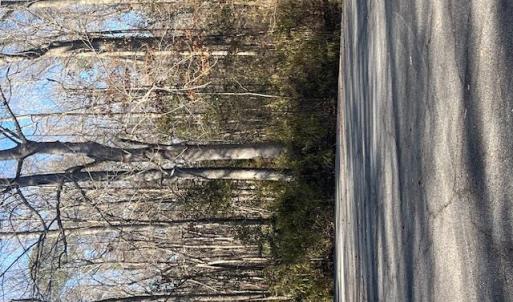 Photo #7 of Lot 4 Kentucky Trail, Chesapeake, Virginia 3.0 acres