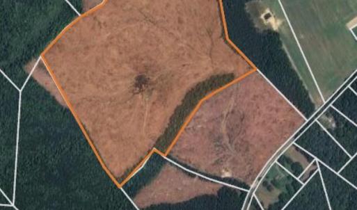 Back 45 acres with road right of way access