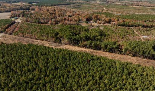 Photo #12 of 24.5ac Little Mill Road, Stony Creek, Virginia 24.5 acres