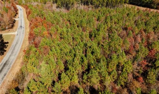 Photo #24 of 24.5ac Little Mill Road, Stony Creek, Virginia 24.5 acres