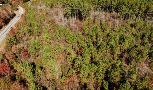 Photo #25 of 24.5ac Little Mill Road, Stony Creek, Virginia 24.5 acres