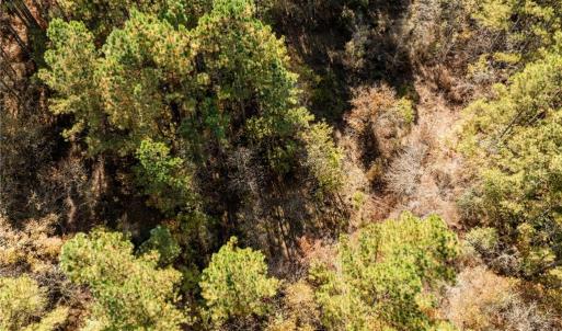 Photo #32 of 24.5ac Little Mill Road, Stony Creek, Virginia 24.5 acres