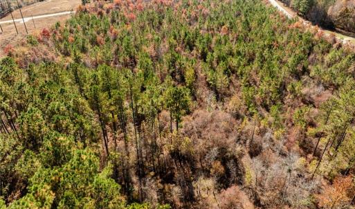 Photo #33 of 24.5ac Little Mill Road, Stony Creek, Virginia 24.5 acres