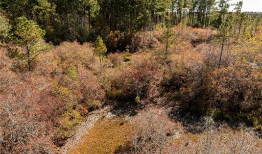 Photo #35 of 24.5ac Little Mill Road, Stony Creek, Virginia 24.5 acres
