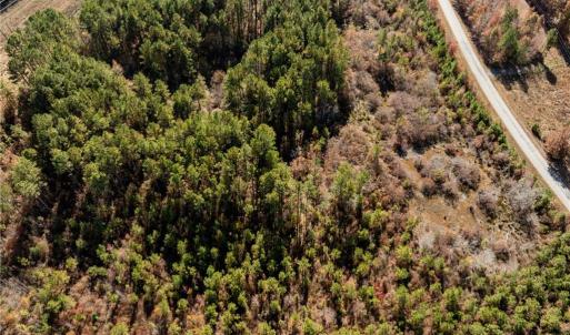 Photo #19 of 24.5ac Little Mill Road, Stony Creek, Virginia 24.5 acres