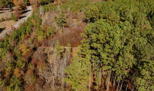 Photo #26 of 24.5ac Little Mill Road, Stony Creek, Virginia 24.5 acres