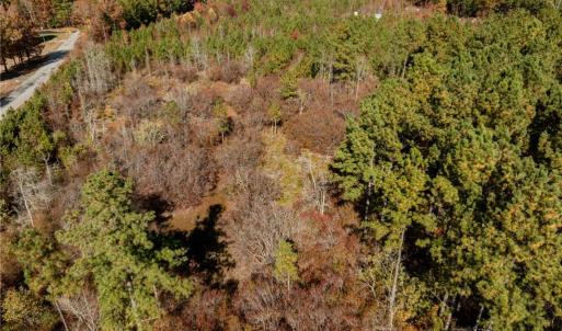Photo #27 of 24.5ac Little Mill Road, Stony Creek, Virginia 24.5 acres
