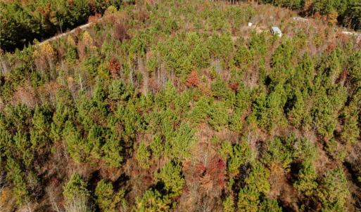 Photo #28 of 24.5ac Little Mill Road, Stony Creek, Virginia 24.5 acres