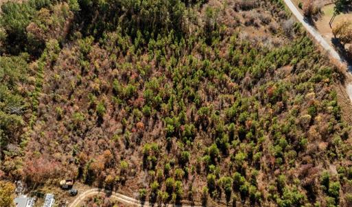 Photo #18 of 24.5ac Little Mill Road, Stony Creek, Virginia 24.5 acres