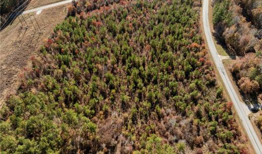 Photo #21 of 24.5ac Little Mill Road, Stony Creek, Virginia 24.5 acres