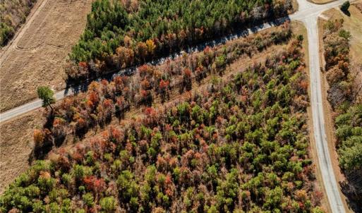 Photo #22 of 24.5ac Little Mill Road, Stony Creek, Virginia 24.5 acres