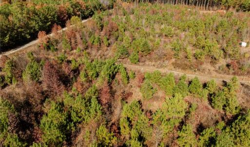 Photo #29 of 24.5ac Little Mill Road, Stony Creek, Virginia 24.5 acres