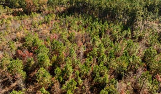 Photo #30 of 24.5ac Little Mill Road, Stony Creek, Virginia 24.5 acres