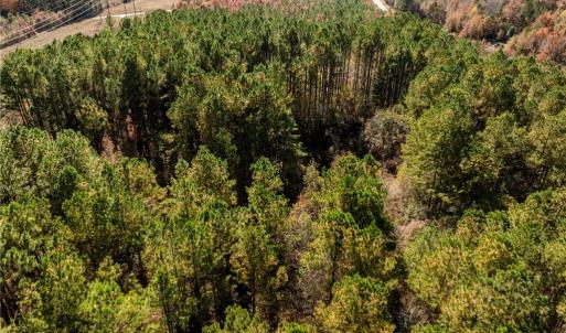 Photo #31 of 24.5ac Little Mill Road, Stony Creek, Virginia 24.5 acres