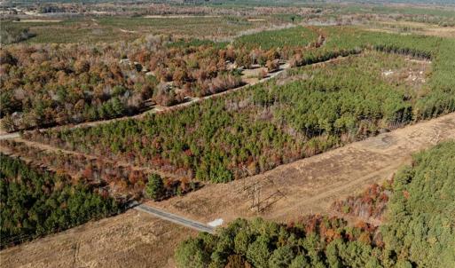 Photo #5 of 24.5ac Little Mill Road, Stony Creek, Virginia 24.5 acres