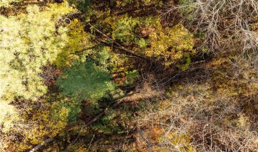 Photo #22 of 2.7ac Twilight Street, Wakefield, Virginia 2.7 acres