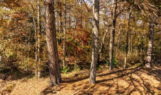 Photo #4 of 2.7ac Twilight Street, Wakefield, Virginia 2.7 acres