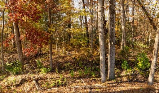 Photo #23 of 2.7ac Twilight Street, Wakefield, Virginia 2.7 acres