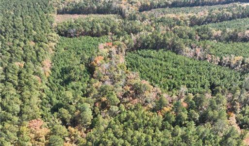 Photo #11 of 955 Manning Drive, Valentines, Virginia 36.4 acres