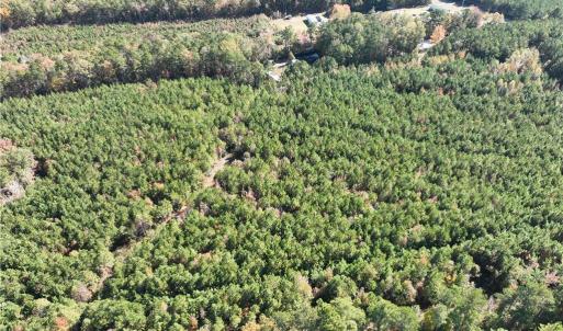 Photo #13 of 955 Manning Drive, Valentines, Virginia 36.4 acres