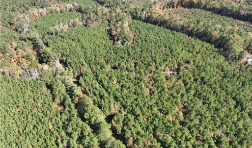 Photo #14 of 955 Manning Drive, Valentines, Virginia 36.4 acres