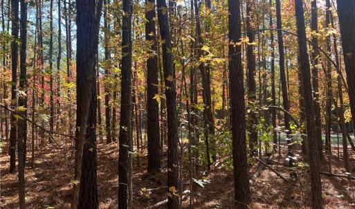 Photo #25 of 955 Manning Drive, Valentines, Virginia 36.4 acres