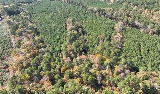 Photo #9 of 955 Manning Drive, Valentines, Virginia 36.4 acres