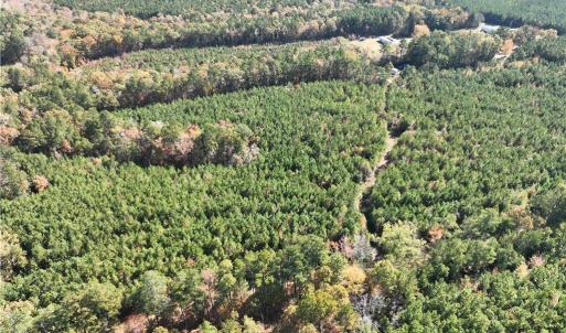 Photo #12 of 955 Manning Drive, Valentines, Virginia 36.4 acres