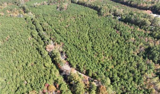 Photo #15 of 955 Manning Drive, Valentines, Virginia 36.4 acres