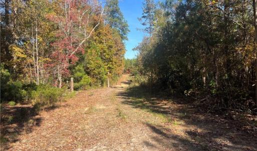 Photo #21 of 955 Manning Drive, Valentines, Virginia 36.4 acres