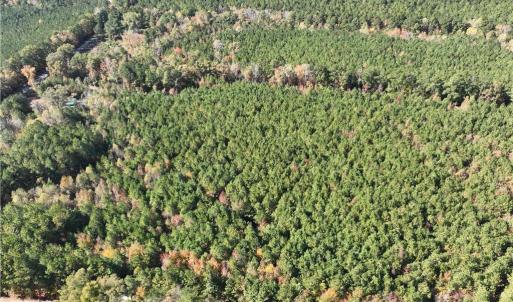 Photo #6 of 955 Manning Drive, Valentines, Virginia 36.4 acres