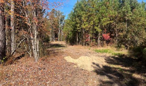 Photo #22 of 955 Manning Drive, Valentines, Virginia 36.4 acres